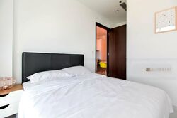 Robin Suites (D10), Apartment #520891391